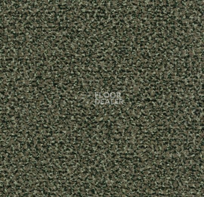 Грязезащитные покрытия Forbo Coral Classic 4758 olive фото 1 | FLOORDEALER